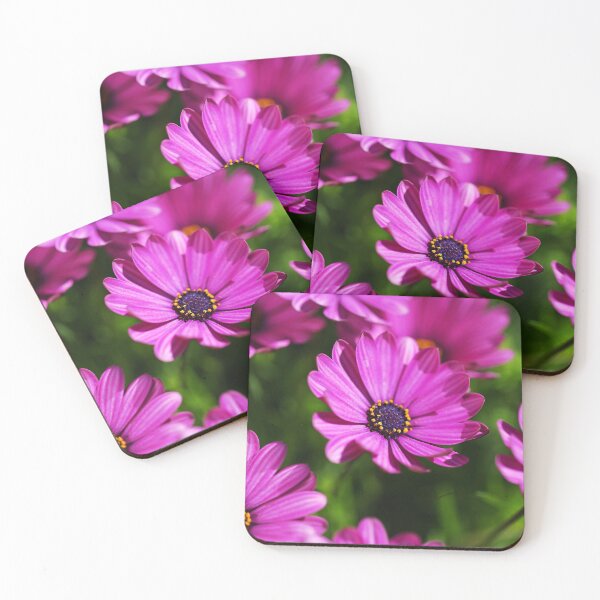 Item preview, Cape Daisies All Together  designed and sold by Joy Watson - Natural Light Photography .