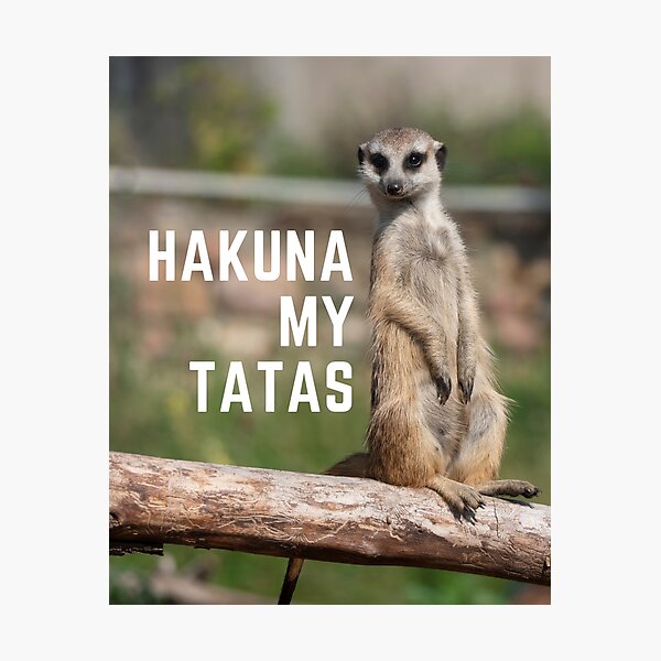 Hakuna My Tatas Hilarious Timon And Pumba Photographic Print For Sale By Newprojectvibe 5875