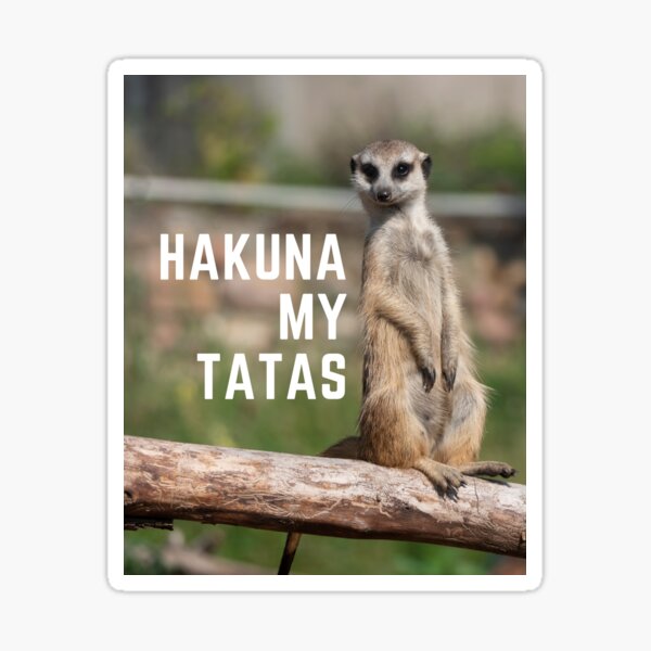  Funny Meme Gifts Hakuna Your Tatas It Means Calm Your