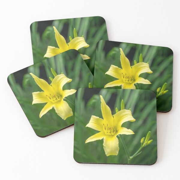 Item preview, Pale Gold Beauty on Emerald Green - A Solitary Daylily Bloom designed and sold by Georgia Mizuleva.