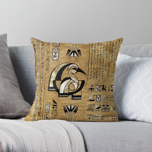  GAIGEO Egyptian Hieroglyphics 21x54 Plush Pillow Covers,  Pillow Shams with Zippers, Decor Pillow Cover : Home & Kitchen