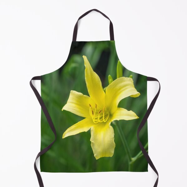 Item preview, Pale Gold Beauty on Emerald Green - A Solitary Daylily Bloom designed and sold by Georgia Mizuleva.
