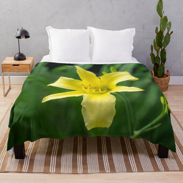 Item preview, Pale Gold Beauty on Emerald Green - A Solitary Daylily Bloom designed and sold by Georgia Mizuleva.