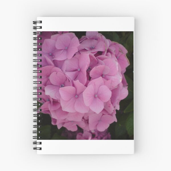 Aperçu de l'œuvre Fleur rose créée et vendue par Sandra Everley.
