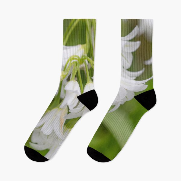 Item preview, Wild Garlic Flowers designed and sold by Dave Hare Photography.