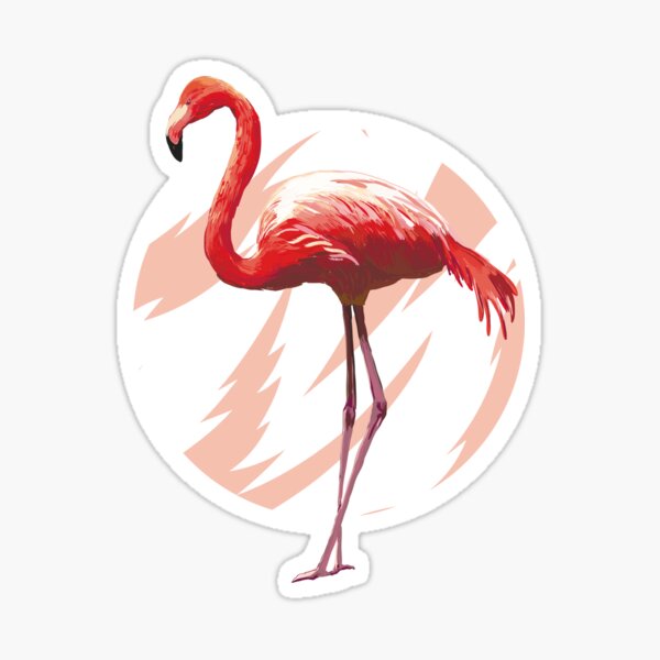 Sticker Rosa Flamingo Drucken Redbubble