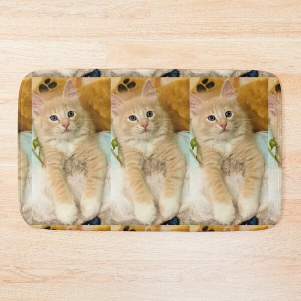 Item preview, Copy of Champagne ragdoll mainecoon kitten designed and sold by Fluffycat2020.