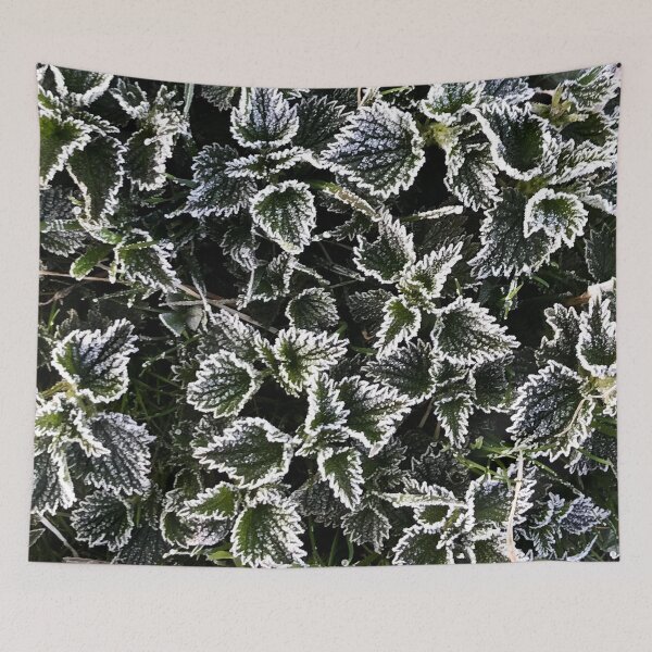 Item preview, Frost kissed designed and sold by IdaFroy.