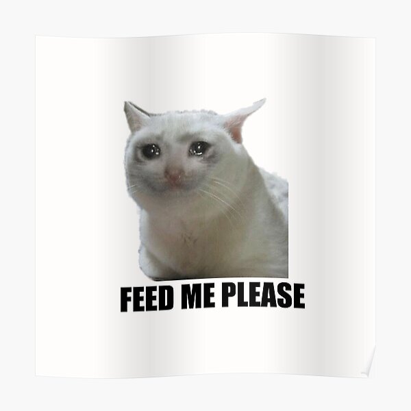 "Crying meme cat feed me please" Poster by CatHub Redbubble