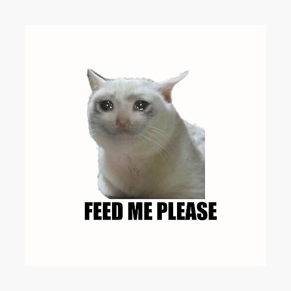 Impressions Photo Sur Le Theme Meme De Chat Triste Redbubble