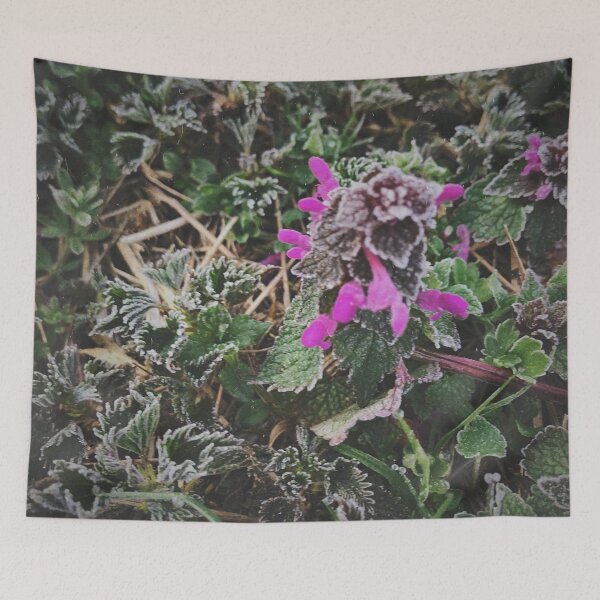 Item preview, Frosty morning designed and sold by IdaFroy.