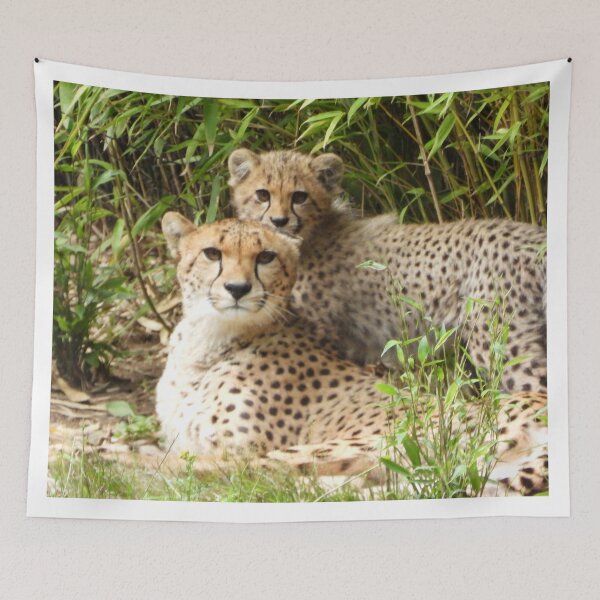 Item preview, A Beautiful Cheetah With Her Adorable Cub designed and sold by Karen Thomson.