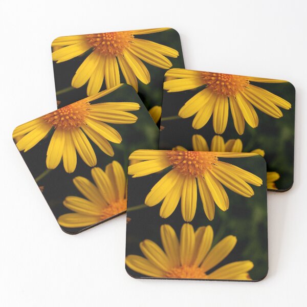 Item preview, Two Yellow Flowers designed and sold by Geoff Treagus.