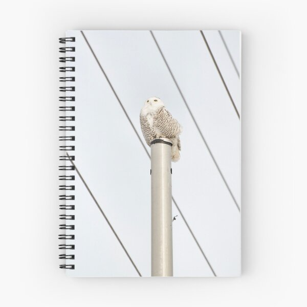 Item preview, Snowy owl on a post designed and sold by photobypj.