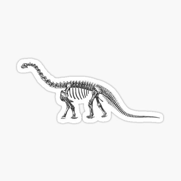 Item preview, Dinosaur Collection - Camarasaurus Skeleton designed and sold by Artificialx.