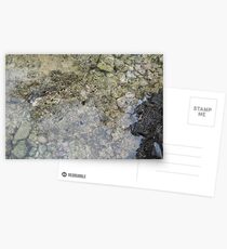 Sea Floor Postcards