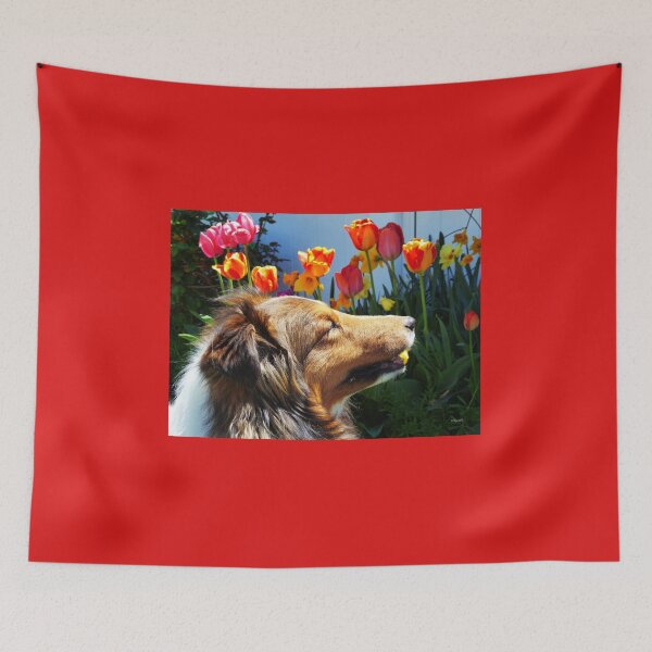 Item preview, Sheltie likes tulips designed and sold by LeRoyM.