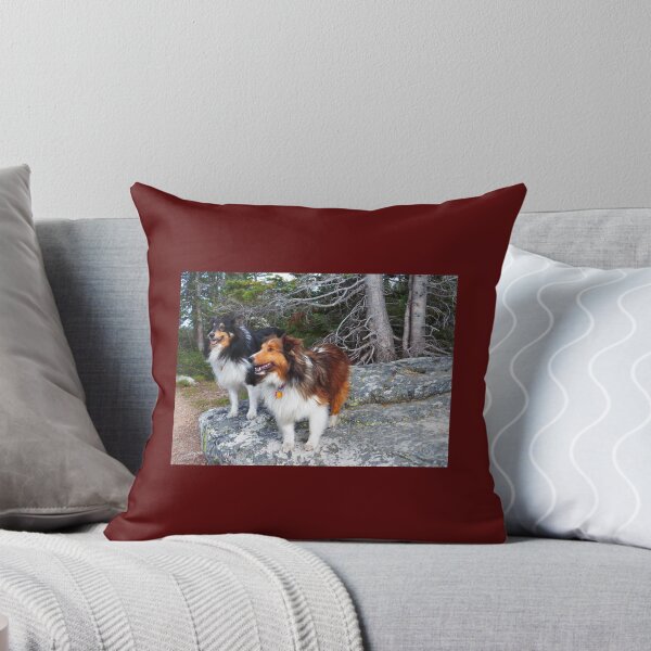 Item preview, On the Rock, Shelties designed and sold by LeRoyM.