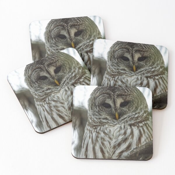 Item preview, I'm watching you !! designed and sold by photobypj.