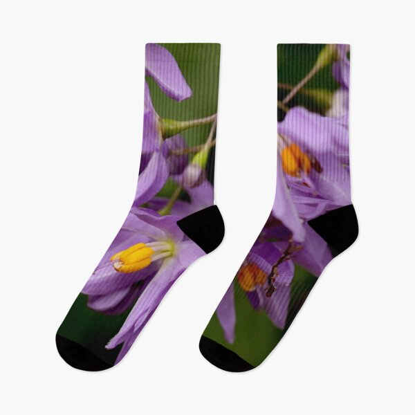 Item preview, Purple Petals and Other Delicate Bits designed and sold by Geoff Treagus.