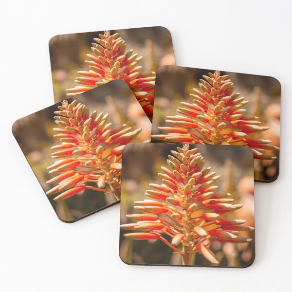 Item preview, Orange and Yellow Aloe Vera Succulent Plant designed and sold by JarbasVisuals.