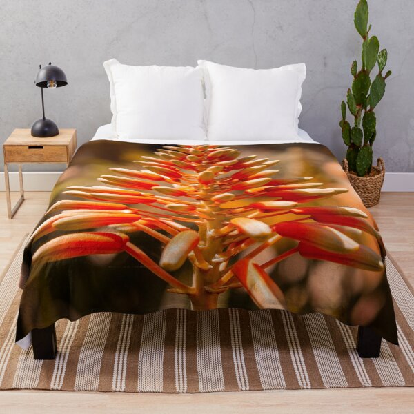 Item preview, Orange and Yellow Aloe Vera Succulent Plant designed and sold by JarbasVisuals.