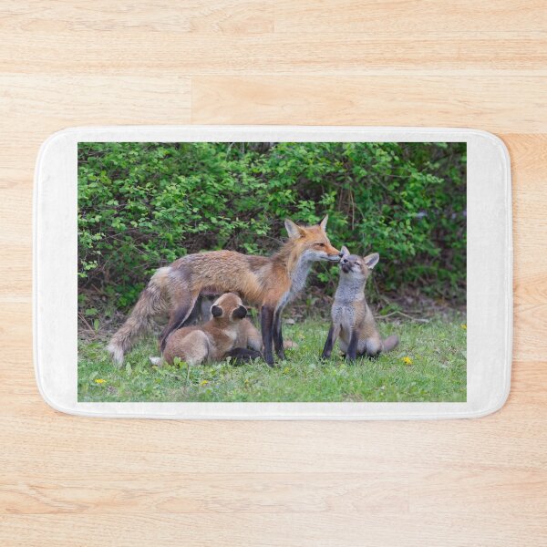Item preview, Mama fox feeding her kits designed and sold by James Cumming.