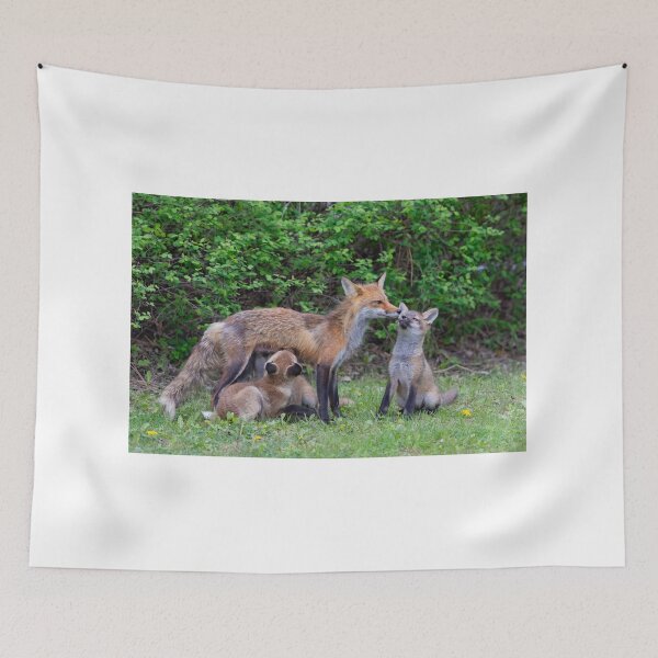 Item preview, Mama fox feeding her kits designed and sold by James Cumming.