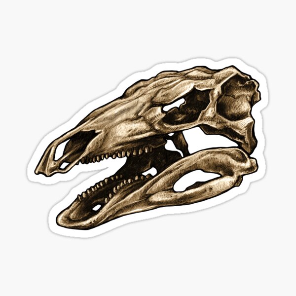 Item preview, Dinosaur Skull Stegosaurus  designed and sold by CassWArt.