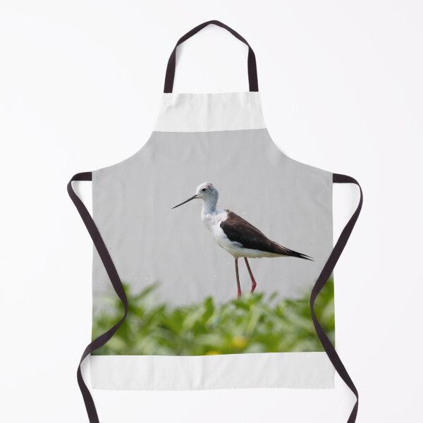 Item preview, Black winged stilt designed and sold by pietrofoto.