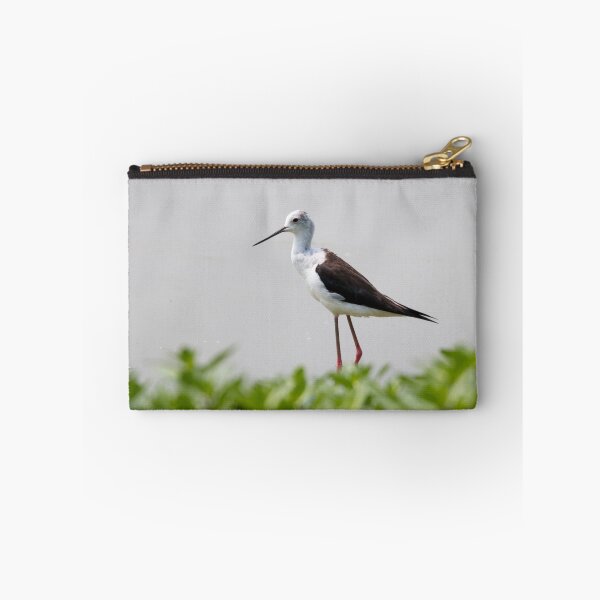 Item preview, Black winged stilt designed and sold by pietrofoto.