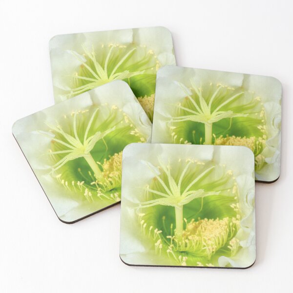 Item preview, Cactus Flower designed and sold by SACRED NATURE DESIGNS.