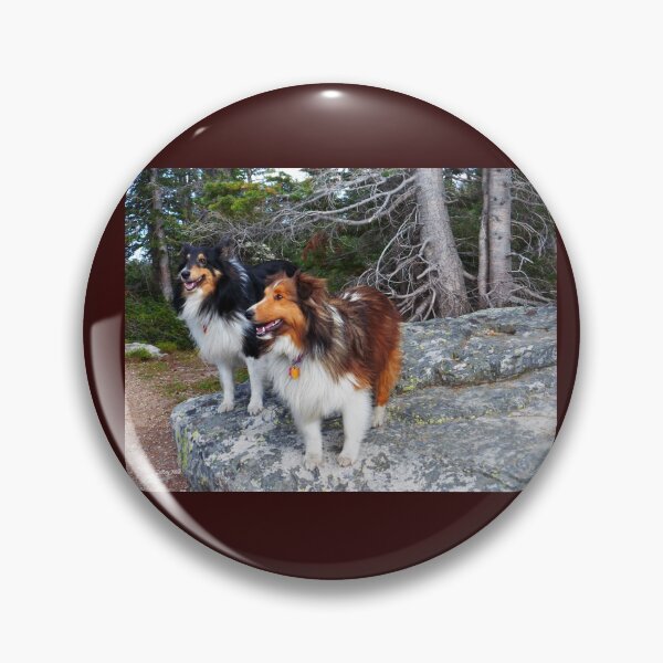 Item preview, On the Rock, Shelties designed and sold by LeRoyM.