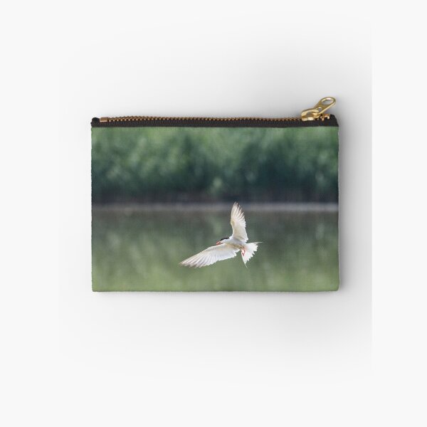 Item preview, Common tern in flight designed and sold by pietrofoto.