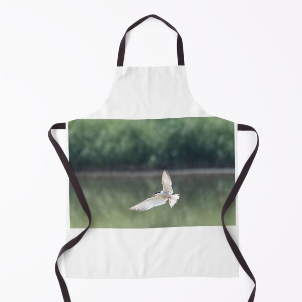 Item preview, Common tern in flight designed and sold by pietrofoto.