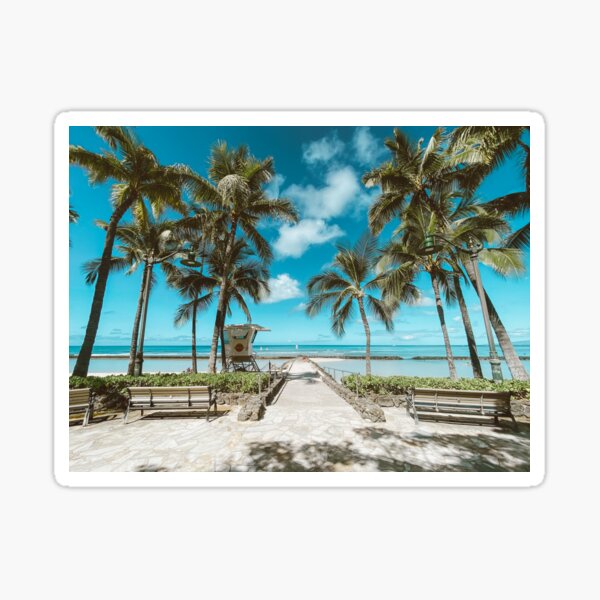 PALM TREE BEACH Sticker