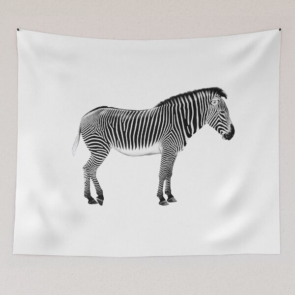 Item preview, Surreal zebra on striped background designed and sold by Delphimages Art.