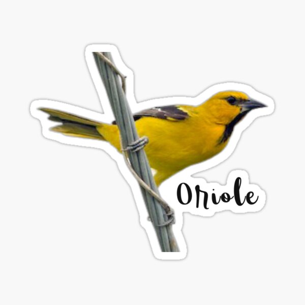 Item preview, Yellow Bird designed and sold by designbyjodyb.