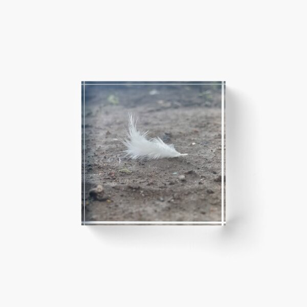 Item preview, Fallen White Feather designed and sold by Luxxe87.