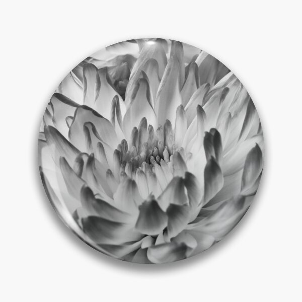Item preview, Chrysanths Black and white designed and sold by Jouko Lehto Photography.