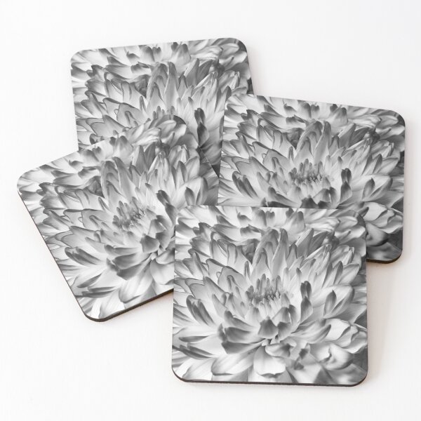 Item preview, Chrysanths Black and white designed and sold by Jouko Lehto Photography.