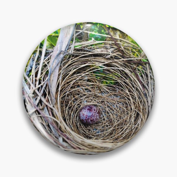 Artikelvorschau, Vogelnest entworfen und verkauft von Luxxe87.