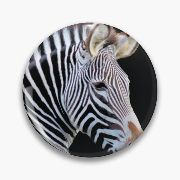 Item preview, A Wonderful Zebra designed and sold by Karen Thomson.