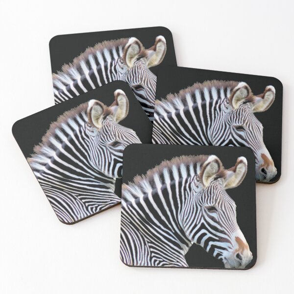 Item preview, A Wonderful Zebra designed and sold by Karen Thomson.