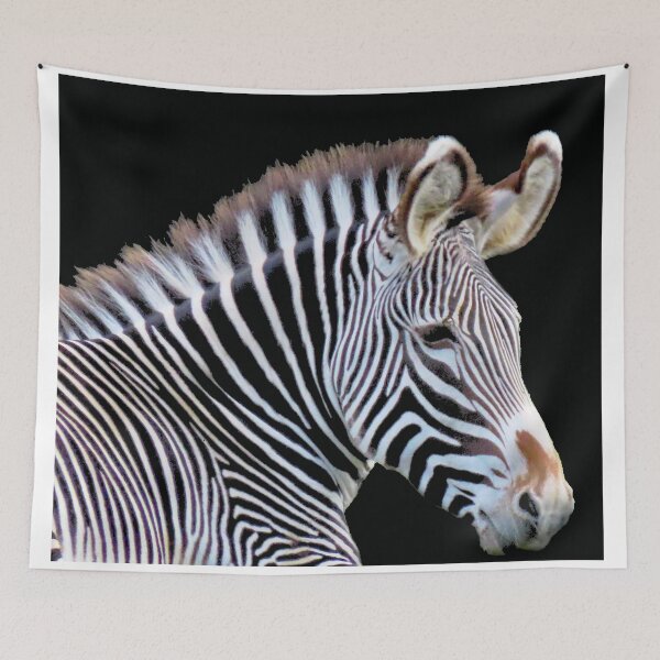 Item preview, A Wonderful Zebra designed and sold by Karen Thomson.