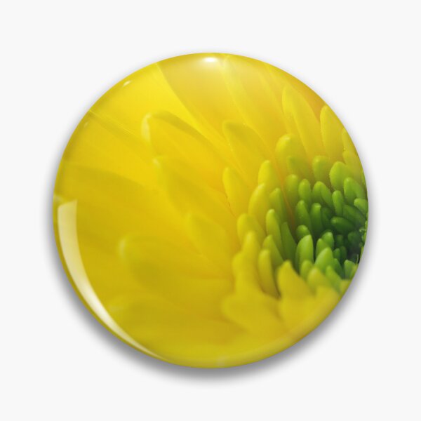 Item preview, Chrysanth The Yellow one designed and sold by Jouko Lehto Photography.