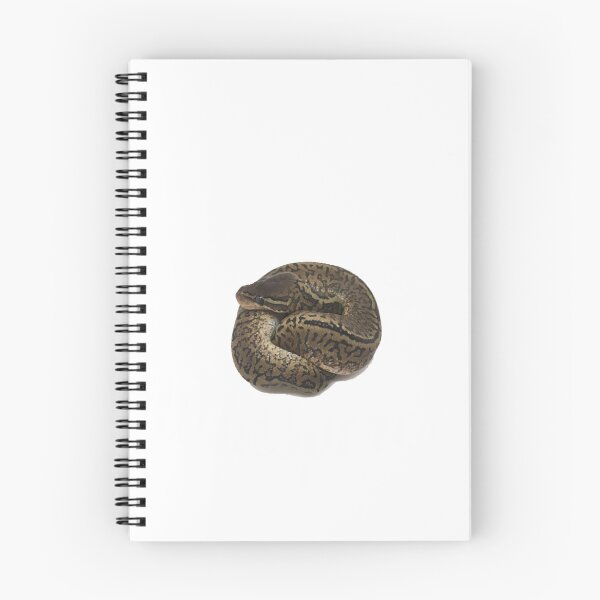 Item preview, Awesome Ball Python Whisperer design  | Gift shirt designed and sold by trending-cats.