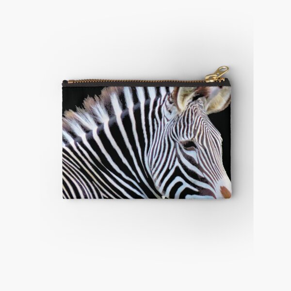 Item preview, A Wonderful Zebra designed and sold by Karen Thomson.