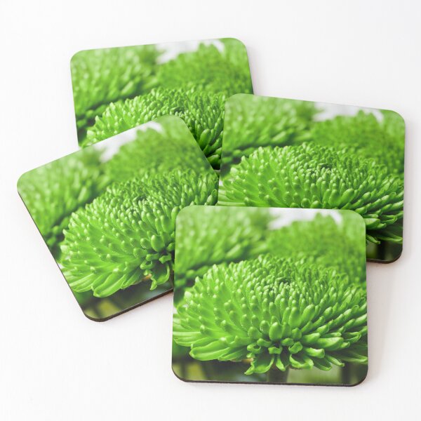 Item preview, Chrysanths The Green ones designed and sold by Jouko Lehto Photography.