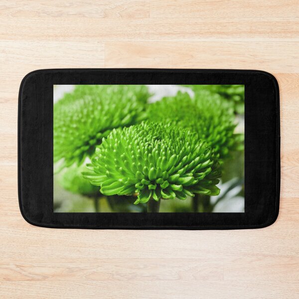 Item preview, Chrysanths The Green ones designed and sold by Jouko Lehto Photography.